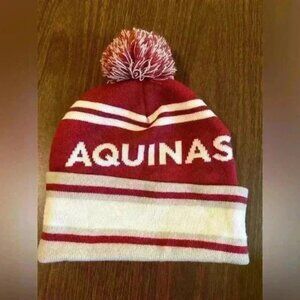 Aquinas Winter Knit Hat. Pompom
